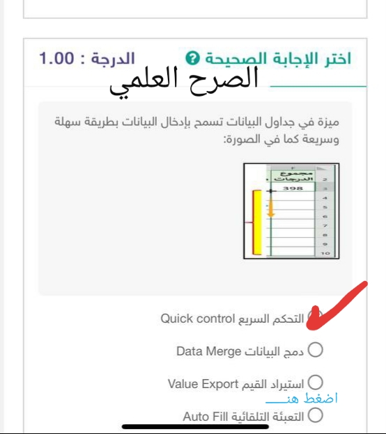 ميزة في جداول البيانات تسمح بإدخال البيانات بطريقة سهلة وسريعة كما في الصورة