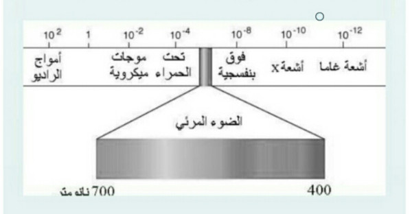 حل سؤال  قرأت هند مقالاً عن الطيف الكهرومغناطيسي من خلال الرسم أي العبارات التالية صحيحة