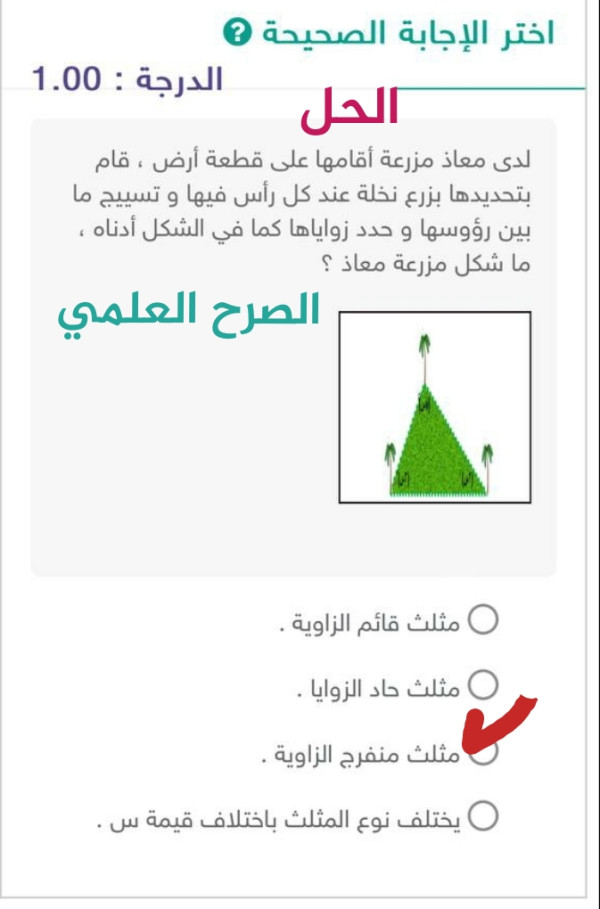 (الحل) لدى معاذ مزرعة أقامها على قطعة أرض قام بتحديدها بزرع نخلة عند كل رأس فيها و تسييج ما بين رؤوسها وحدد زواياها كما في الشكل أدناه ما شكل مزرعة معاذ