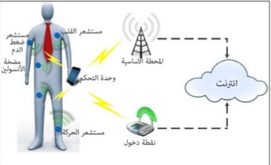 شبكة الجسم BNA