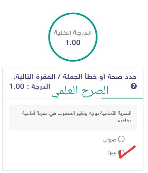 الضربة الأمامية بوجه وظهر المضرب هي ضربة أمامية دفاعية